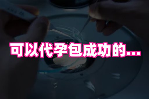贵州助孕网站 2