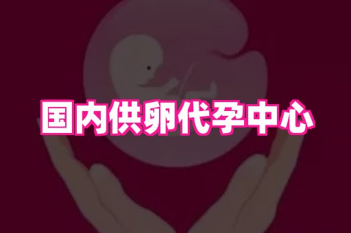 贵州助孕网站 4